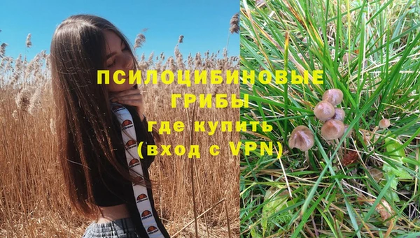 мяу мяу мука Балахна