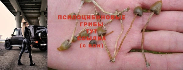 jwh Балабаново